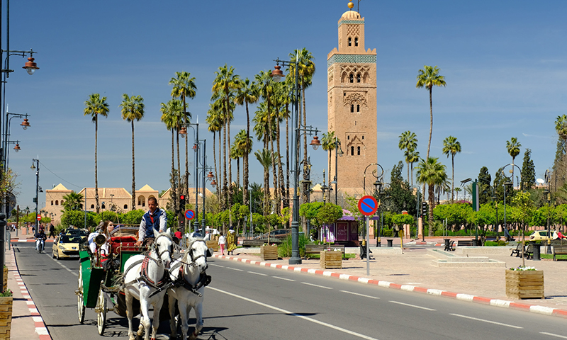 tour-from-casablanca-to-marrakech-in-5-days