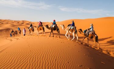 Desert tours in Morocco- camel trekking
