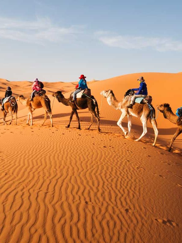 Desert tours in Morocco- camel trekking